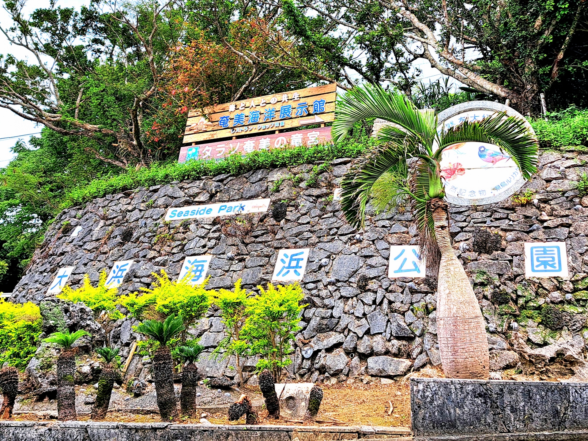 奄美大島 大浜海浜公園