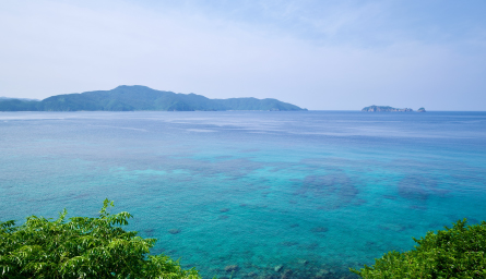 目印はこのマーク！